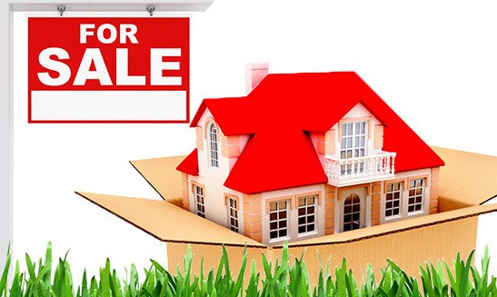 May mà tôi chưa bán nhà cho con du học!